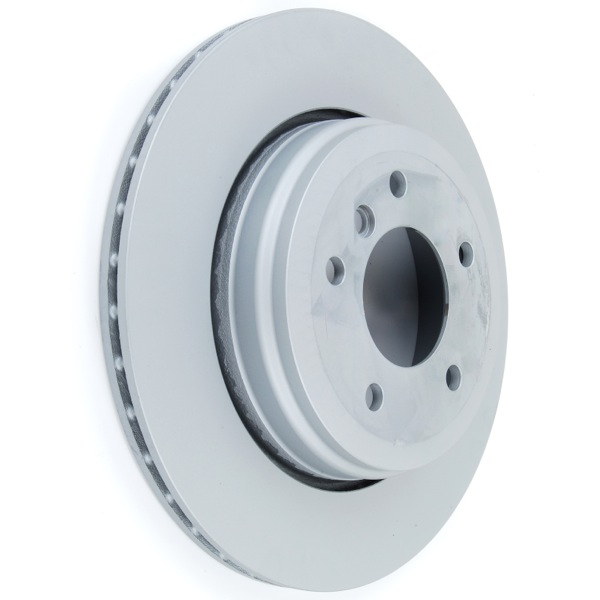 Pagid Brake Discs 104110948