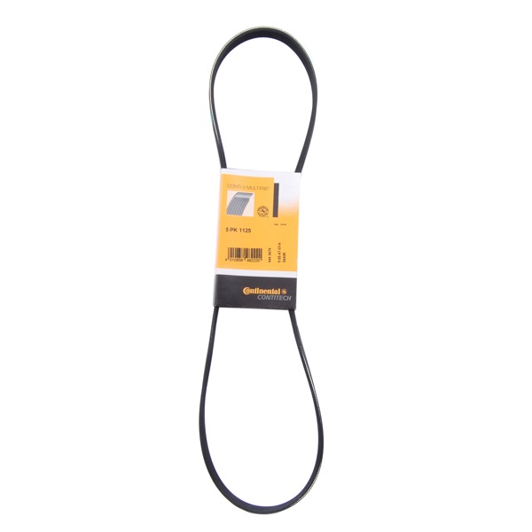 Contitech Drive Belt 202110235