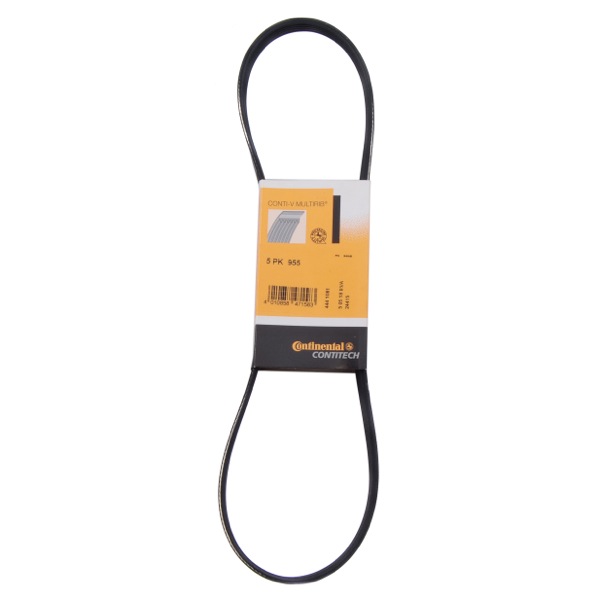Contitech Drive Belt 202110485