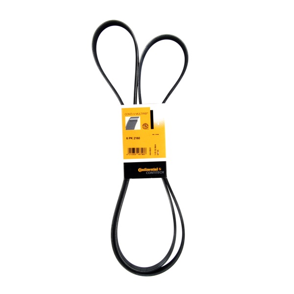 Contitech Drive Belt 202221015