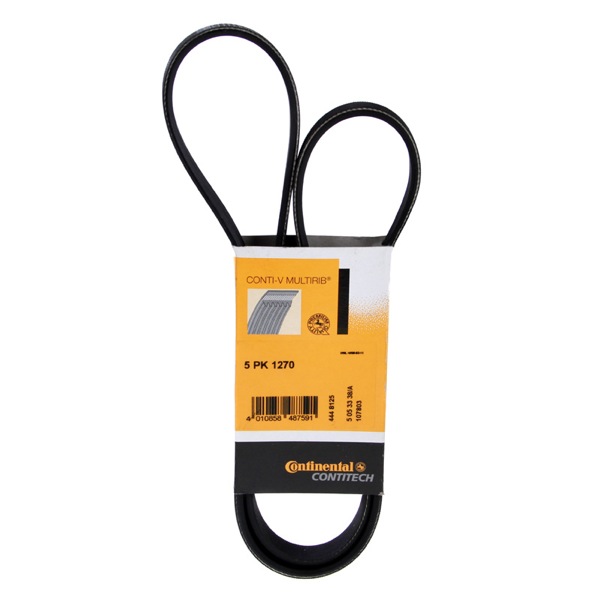 Contitech Drive Belt 202745175