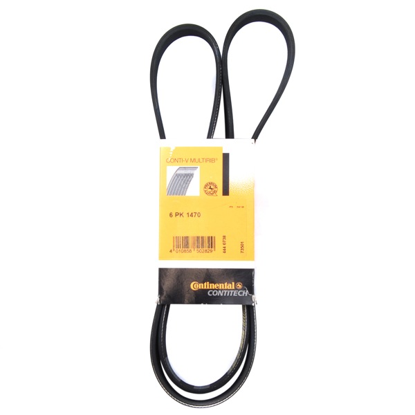 Contitech Drive Belt 202770585