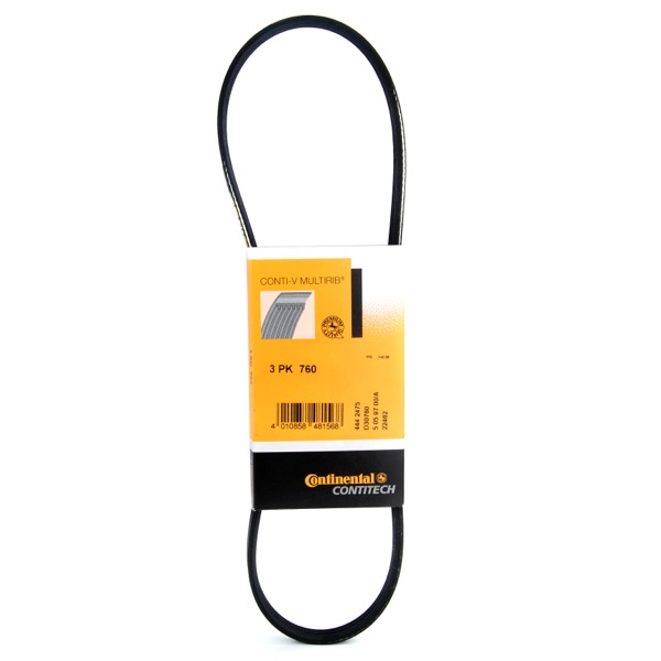 Contitech Drive Belt 202771015