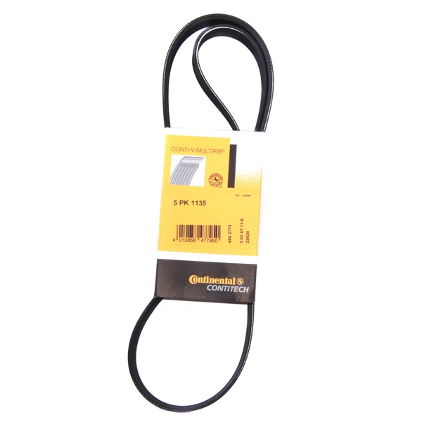 Contitech Drive Belt 202771185