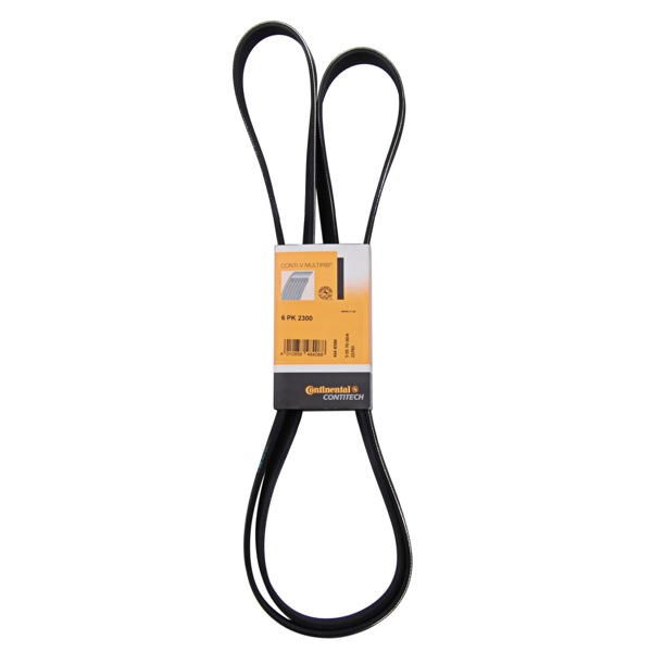 Contitech Drive Belt 202771605