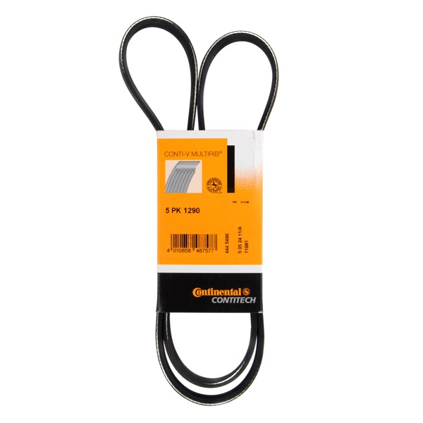 Contitech Drive Belt 202772505