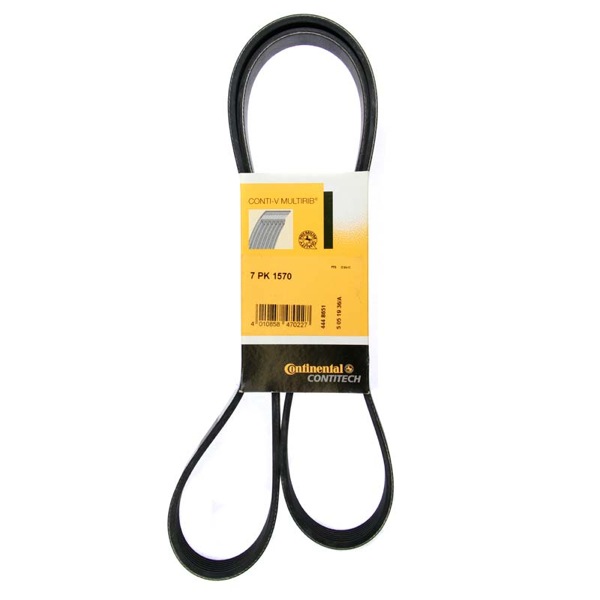 Dayco Drive Belt 202772595