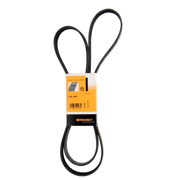 Contitech Drive Belt 202776495