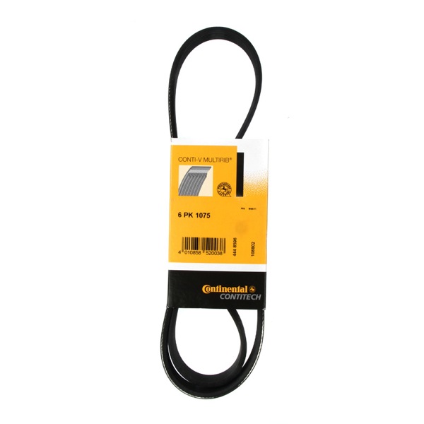 Contitech Drive Belt 202778745