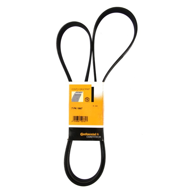 Contitech Drive Belt 202779205