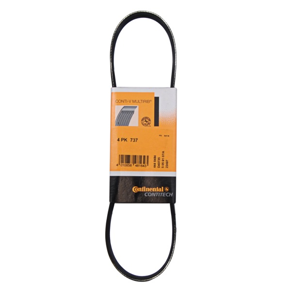 Contitech Drive Belt 202990965