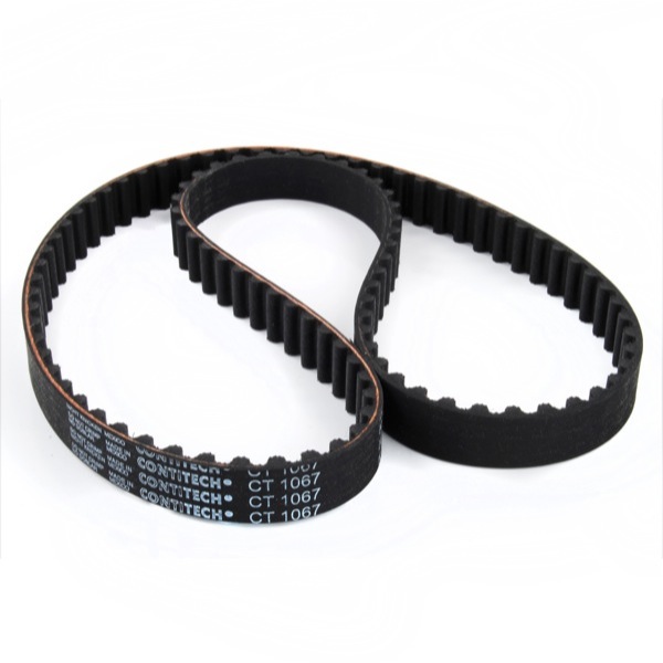 Dayco Timing Belt 325770985