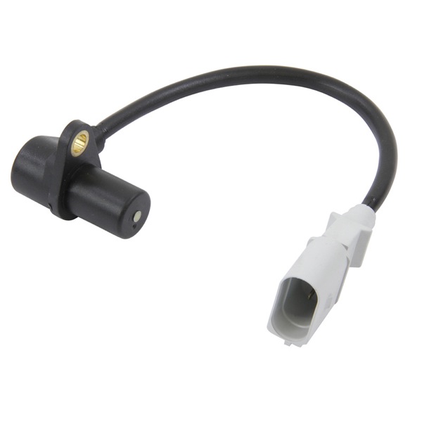 ERA Engine Sensor 419440250