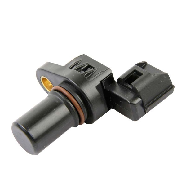 ERA Engine Sensor 419900020