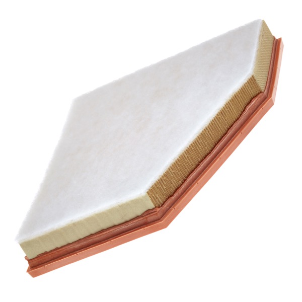 Mann Air Filter 502110369