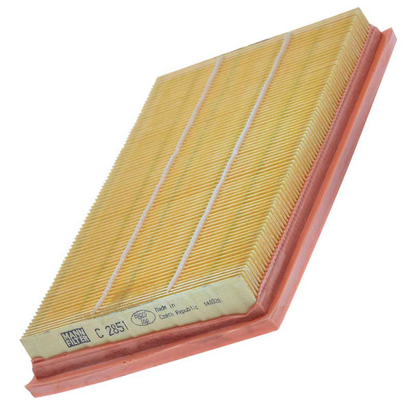 Mann Air Filter 502120029