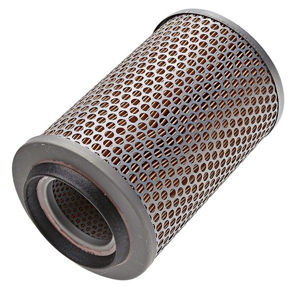 Mann Air Filter 502220019