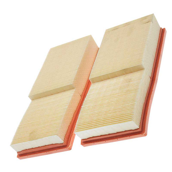 Mann Air Filter 502220799