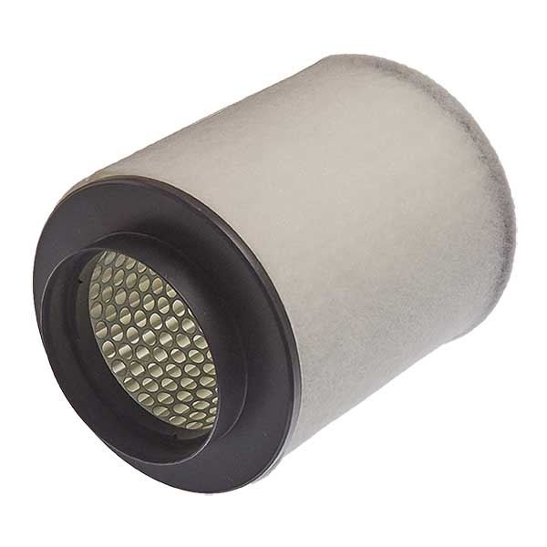 Mann Air Filter 502440039