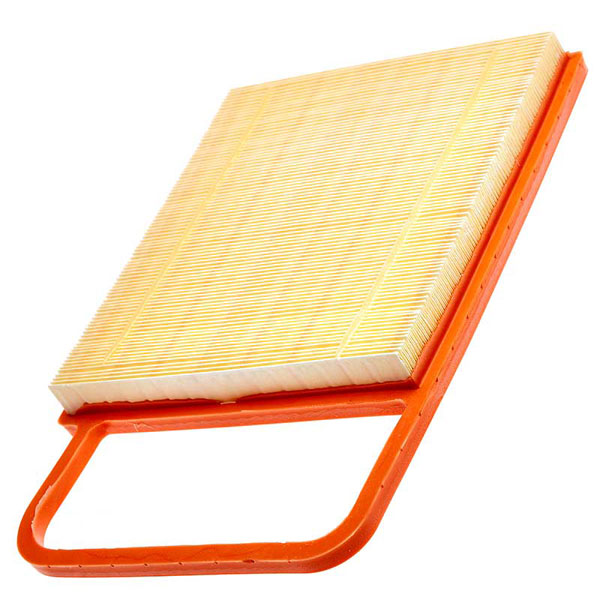 Mann Air Filter 502440589