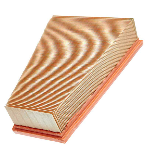 Mann Air Filter 502545359