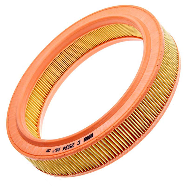 Mann Air Filter 502590019