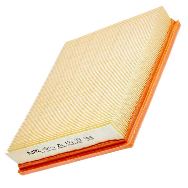 Mann Air Filter 502590039