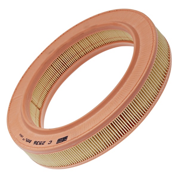 Mann Air Filter 502720019