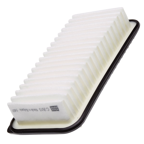 Mann Air Filter 502820099