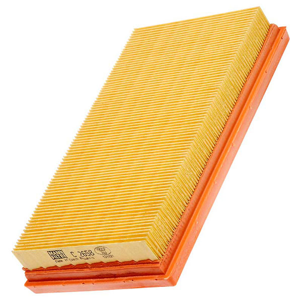 Mann Air Filter 502860169