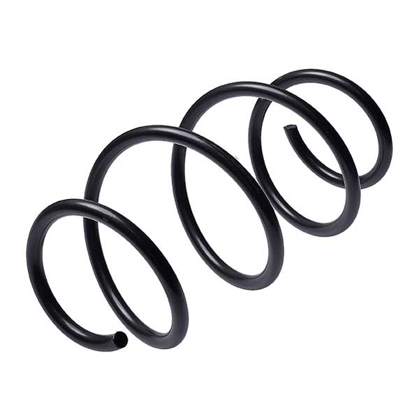 Sachs Coil Spring 627110060
