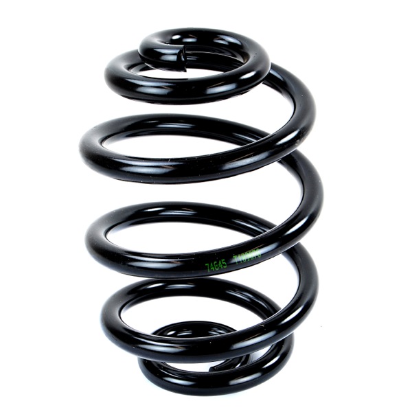 Sachs Coil Spring 627112470