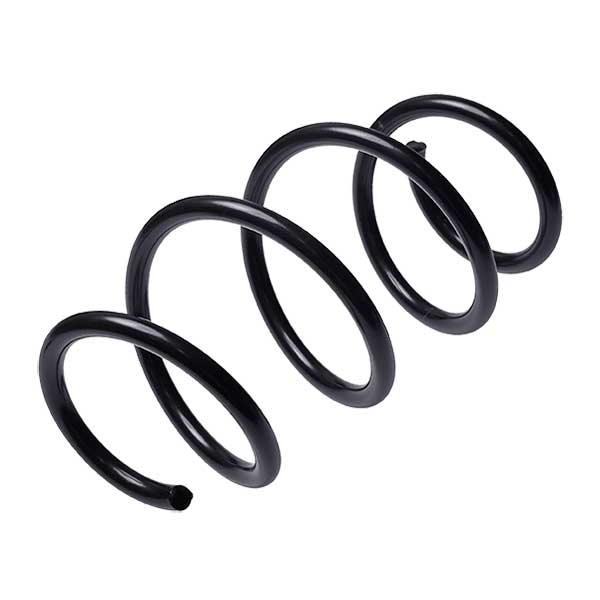 Sachs Coil Spring 627120440