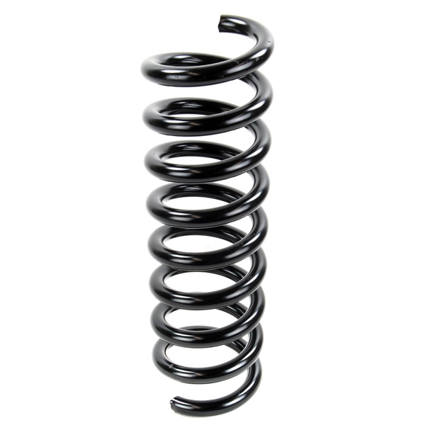 Sachs Coil Spring 627221750