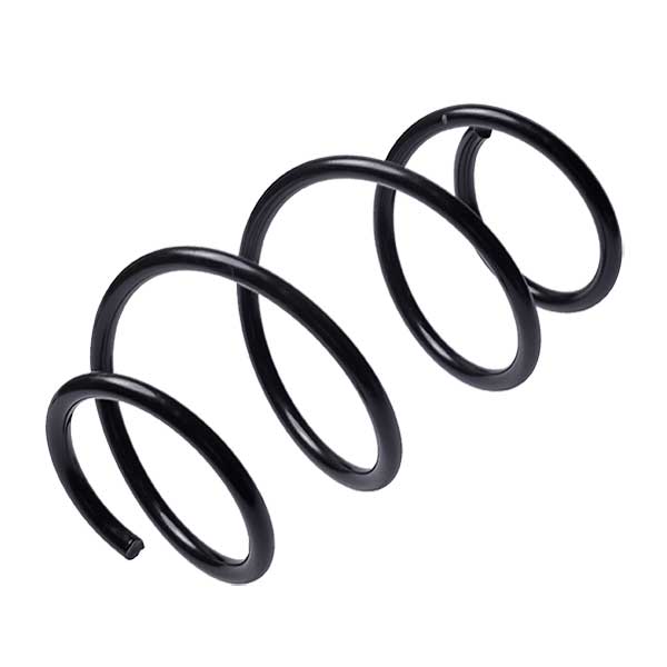 Sachs Coil Spring 627222930