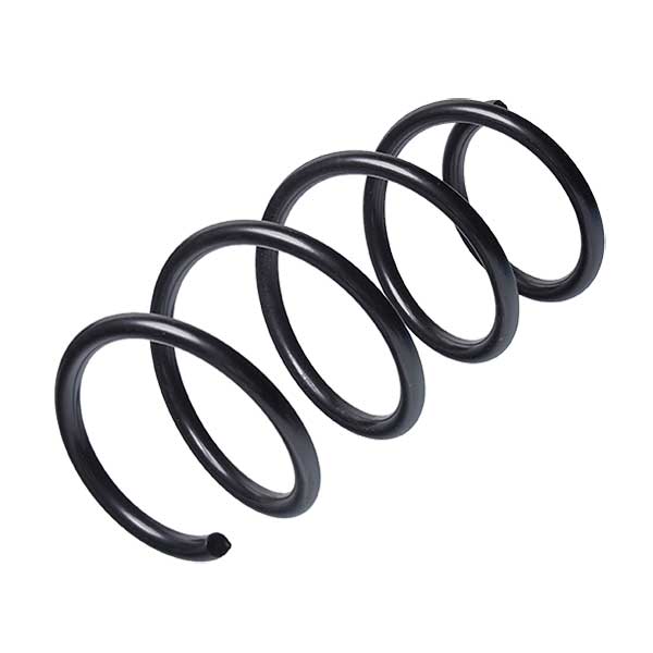 Sachs Coil Spring 627448020