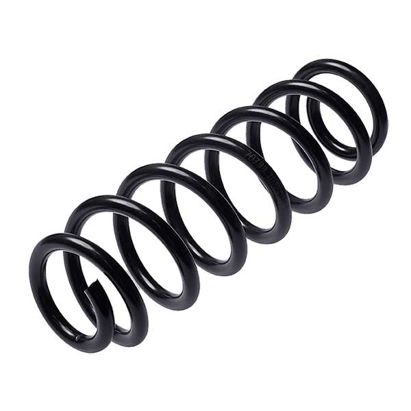 Sachs Coil Spring 627448060