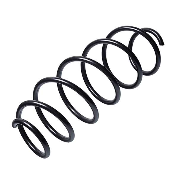 Sachs Coil Spring 627546220