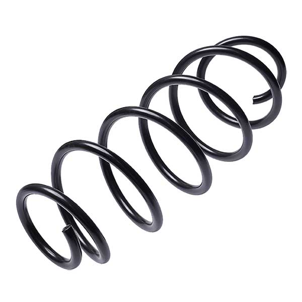 Sachs Coil Spring 627546260