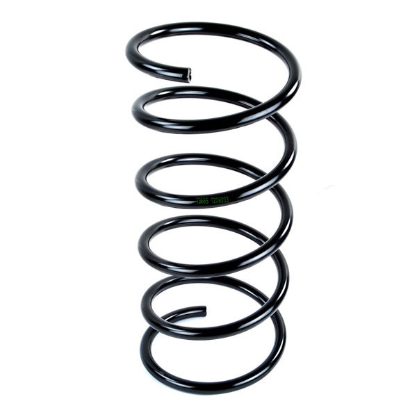 Sachs Coil Spring 627590020