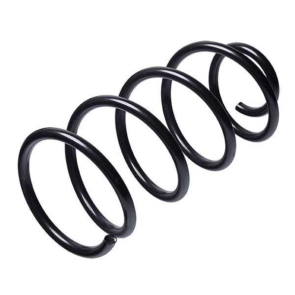 Sachs Coil Spring 627593300