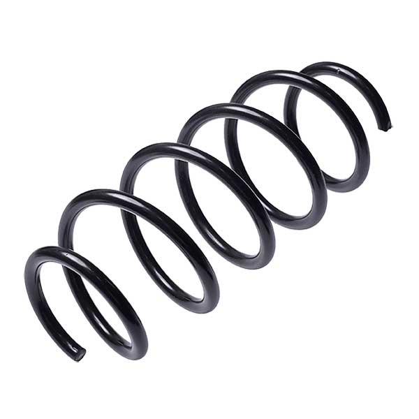 Sachs Coil Spring 627593680