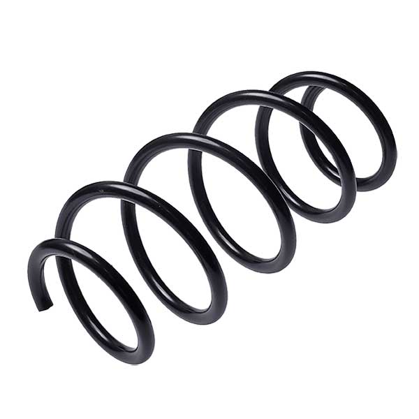 Sachs Coil Spring 627593730