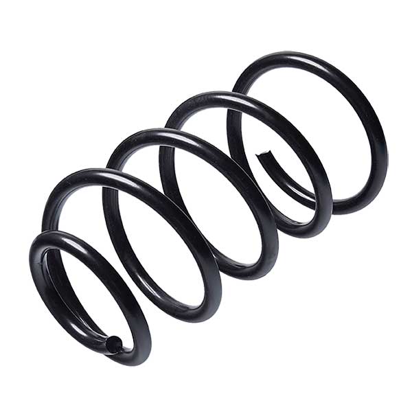 Sachs Coil Spring 627593770