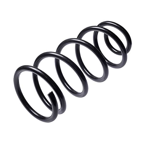 Sachs Coil Spring 627593820