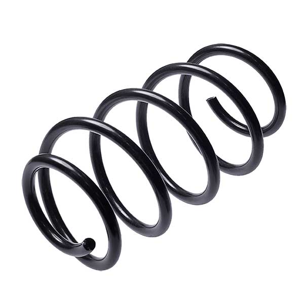 Sachs Coil Spring 627593950