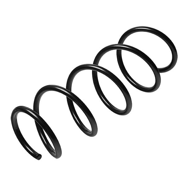 Sachs Coil Spring 627650110