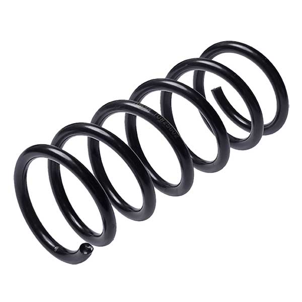 Sachs Coil Spring 627650170