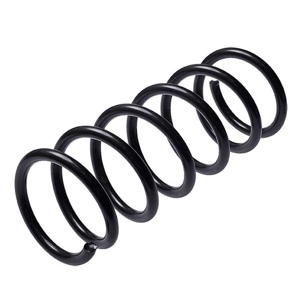 Sachs Coil Spring 627661690