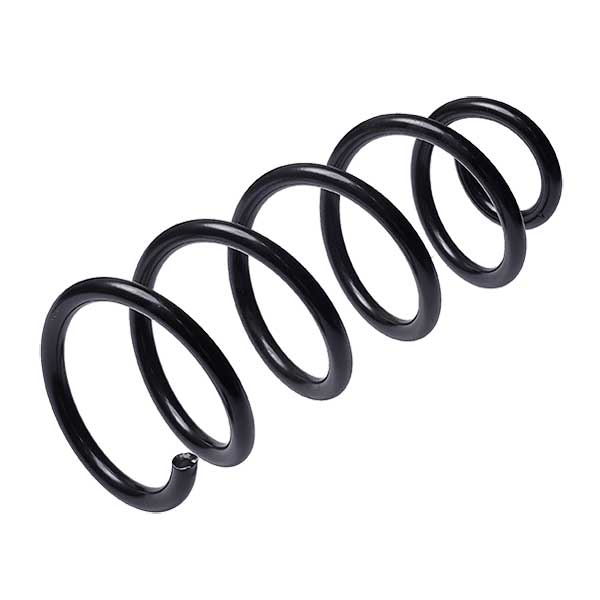 Sachs Coil Spring 627681740